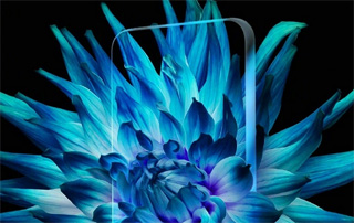 Huawei G10 Qatar Price
